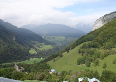 Valley in summer